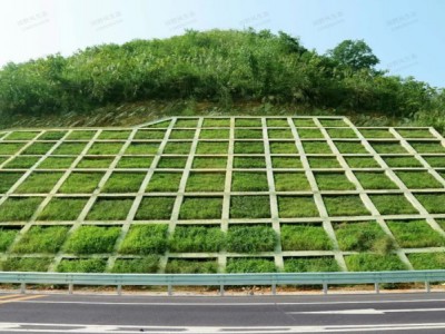 第六屆全國邊坡安全防護與生態(tài)修復新技術(shù)高峰論壇